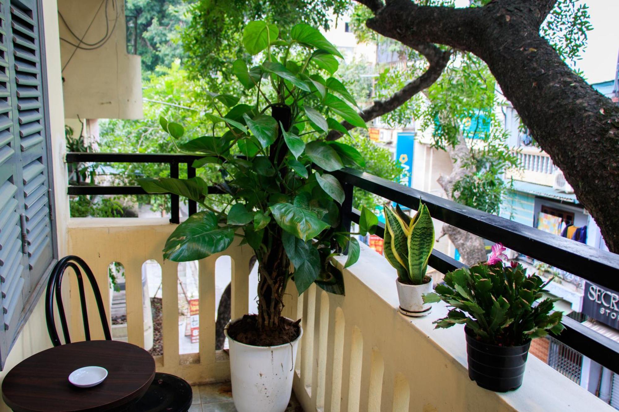 Hanoi Family Homestay Kültér fotó