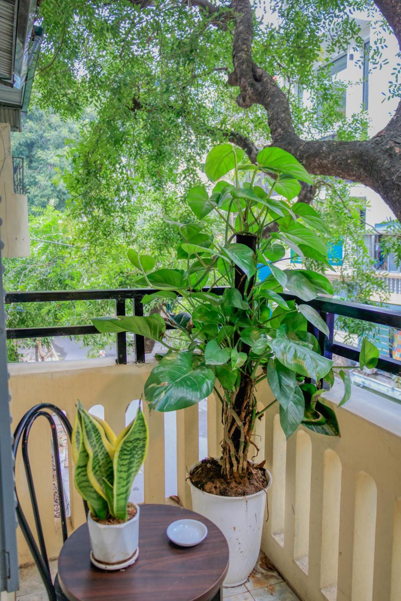 Hanoi Family Homestay Kültér fotó